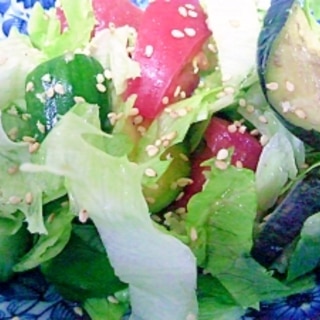 今朝の夏野菜サラダ　ごま塩味